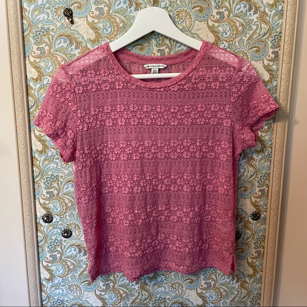 AE Sheer Cropped Tee in Pink Floral